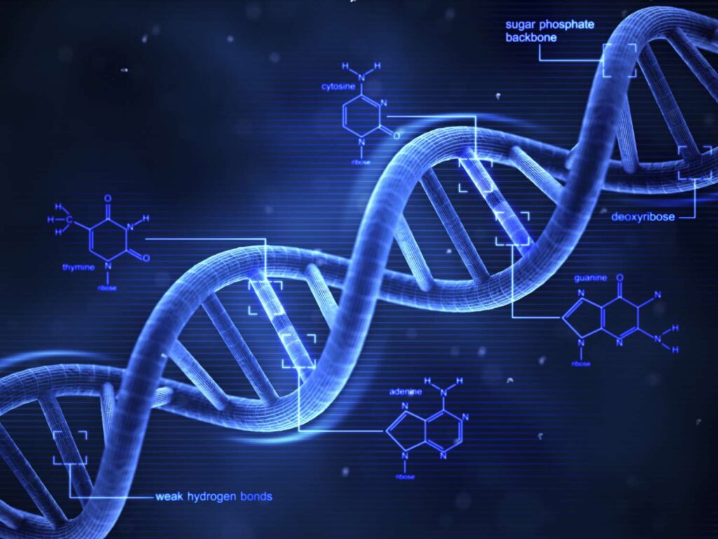 ДНК-тести: Розкриття Таємниць Генетики