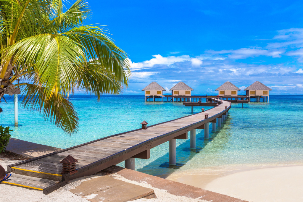 Убедительные причины провести отпуск на Мальдивах